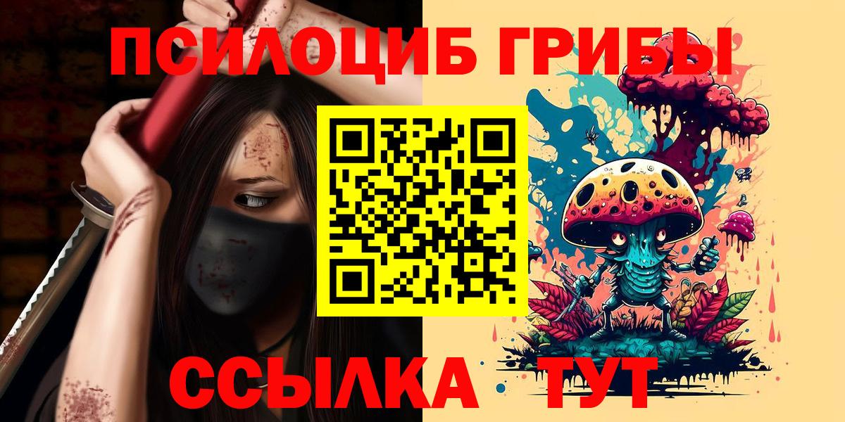 Псилоцибиновые грибы мицелий Бузулук